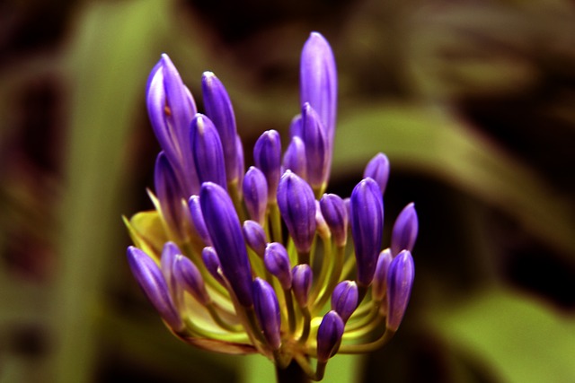 条快捷路径 条快捷路径