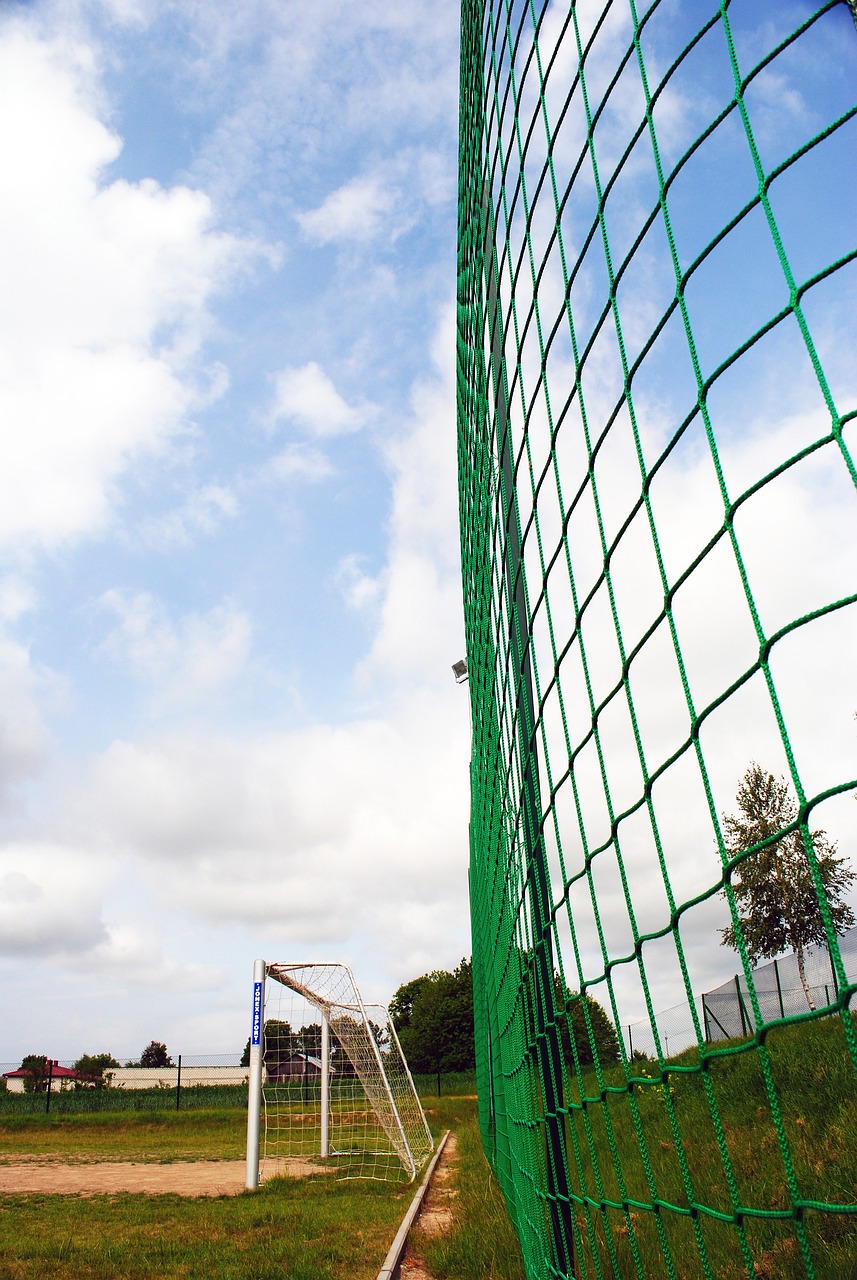 市场的全方 市场的全方