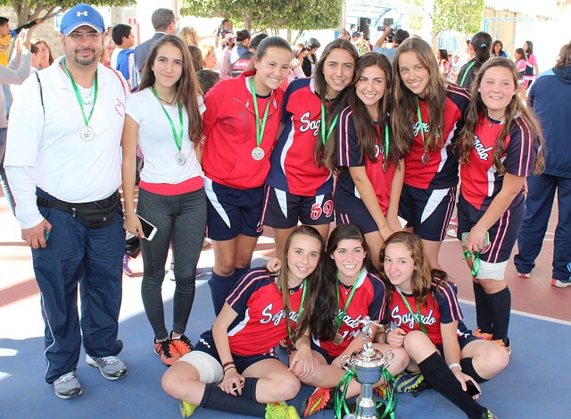 马成功的关 马成功的关