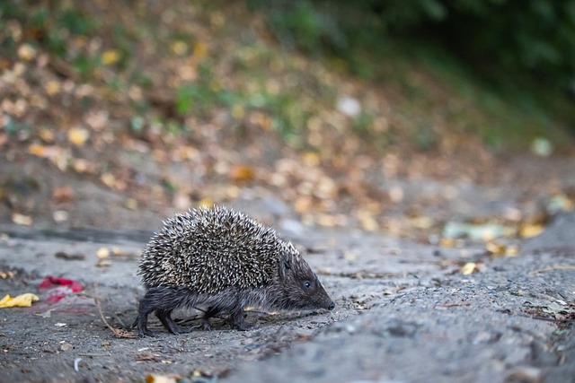 我不僅變得 我不僅變得