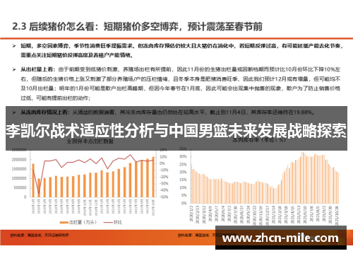 李凯尔战术适应性分析与中国男篮未来发展战略探索