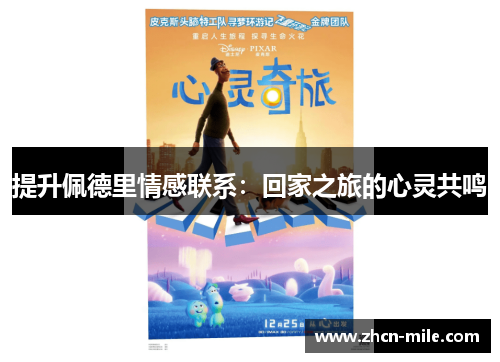 提升佩德里情感联系：回家之旅的心灵共鸣