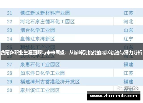费南多职业生涯回顾与未来展望：从巅峰到挑战的成长轨迹与潜力分析