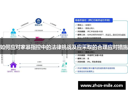 如何应对家暴指控中的法律挑战及应采取的合理应对措施