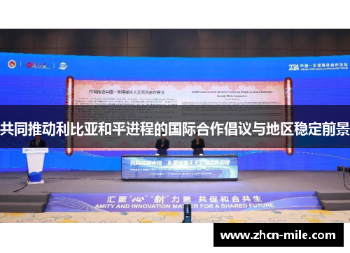 共同推动利比亚和平进程的国际合作倡议与地区稳定前景