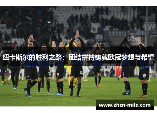 纽卡斯尔的胜利之路：团结拼搏铸就欧冠梦想与希望