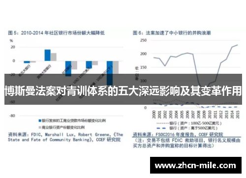 博斯曼法案对青训体系的五大深远影响及其变革作用